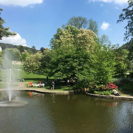 Residenz Emilia Апартаменты Марианске-Лазне
